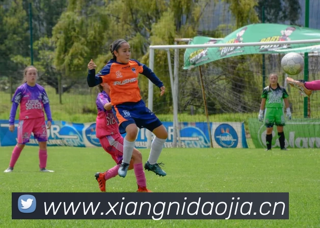 betway必威(betway)官方网址站平台生态图